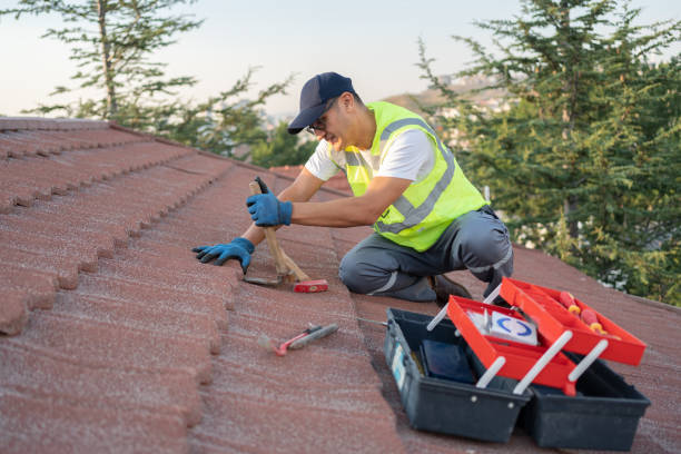 Roof Gutter Cleaning in Lagrange, IN